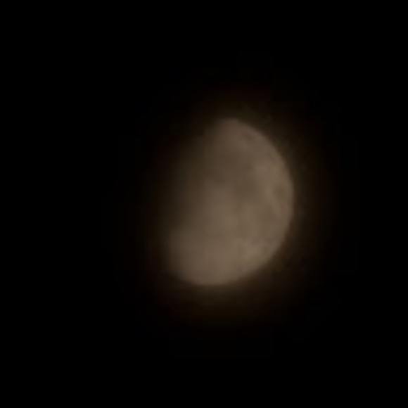 Meet your Posher, Chloe - Picture 1 of 1